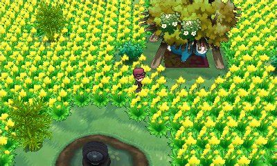 pokemon village xy|pokemon village kalos.